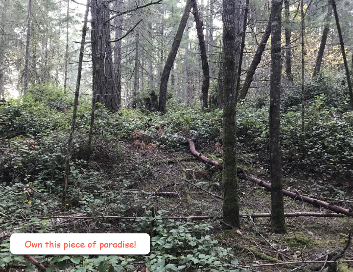 Ketron Island Leave the Hustle of the City Behind!