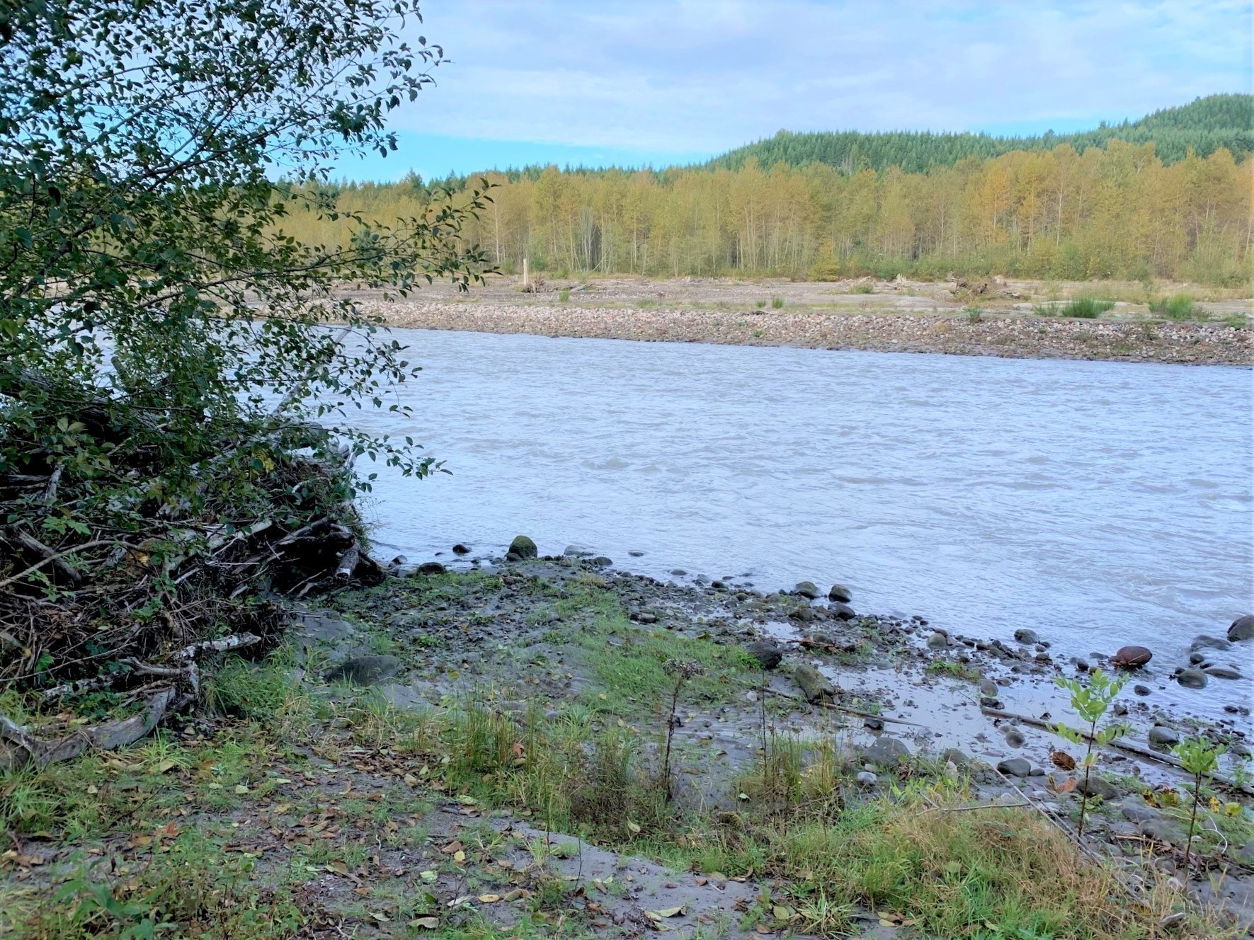 REDUCED! 35,623 North Fork Toutle River! 5.34 Acres Fishing! Camping