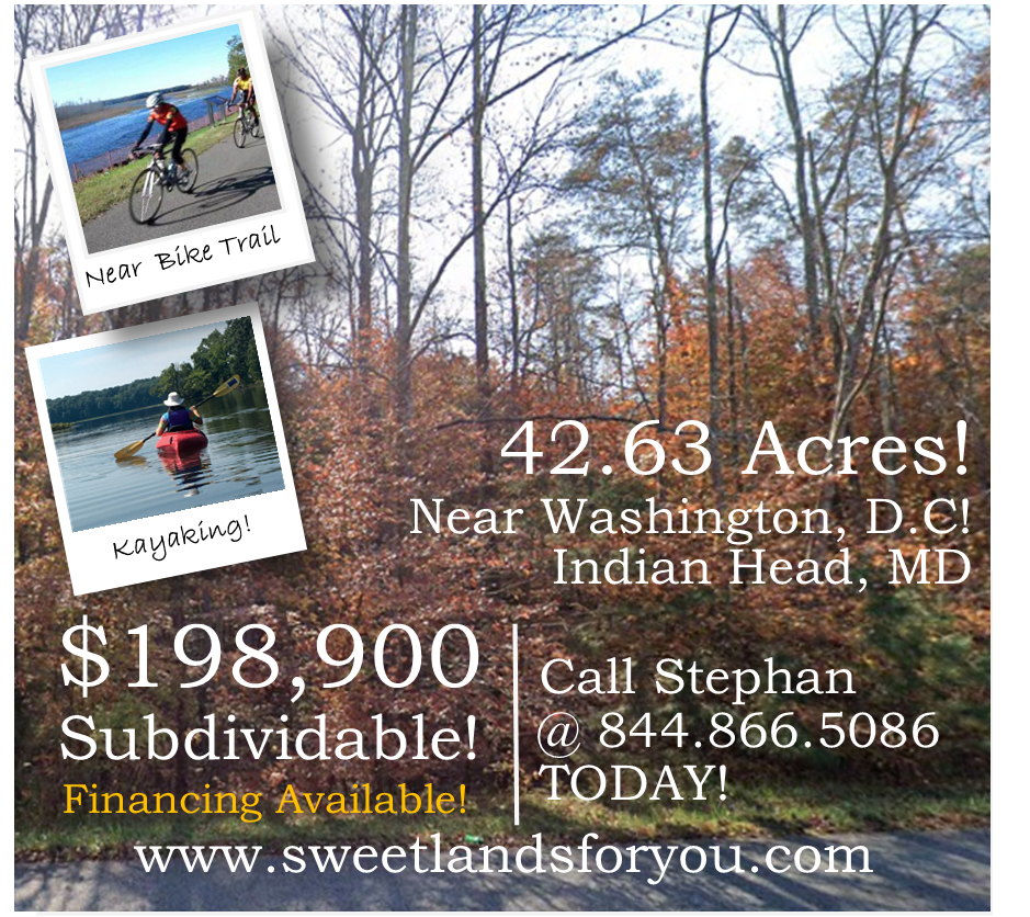 42.63 acres Subdividable! Indian Head, MD Less than 1 hr to Wash DC!